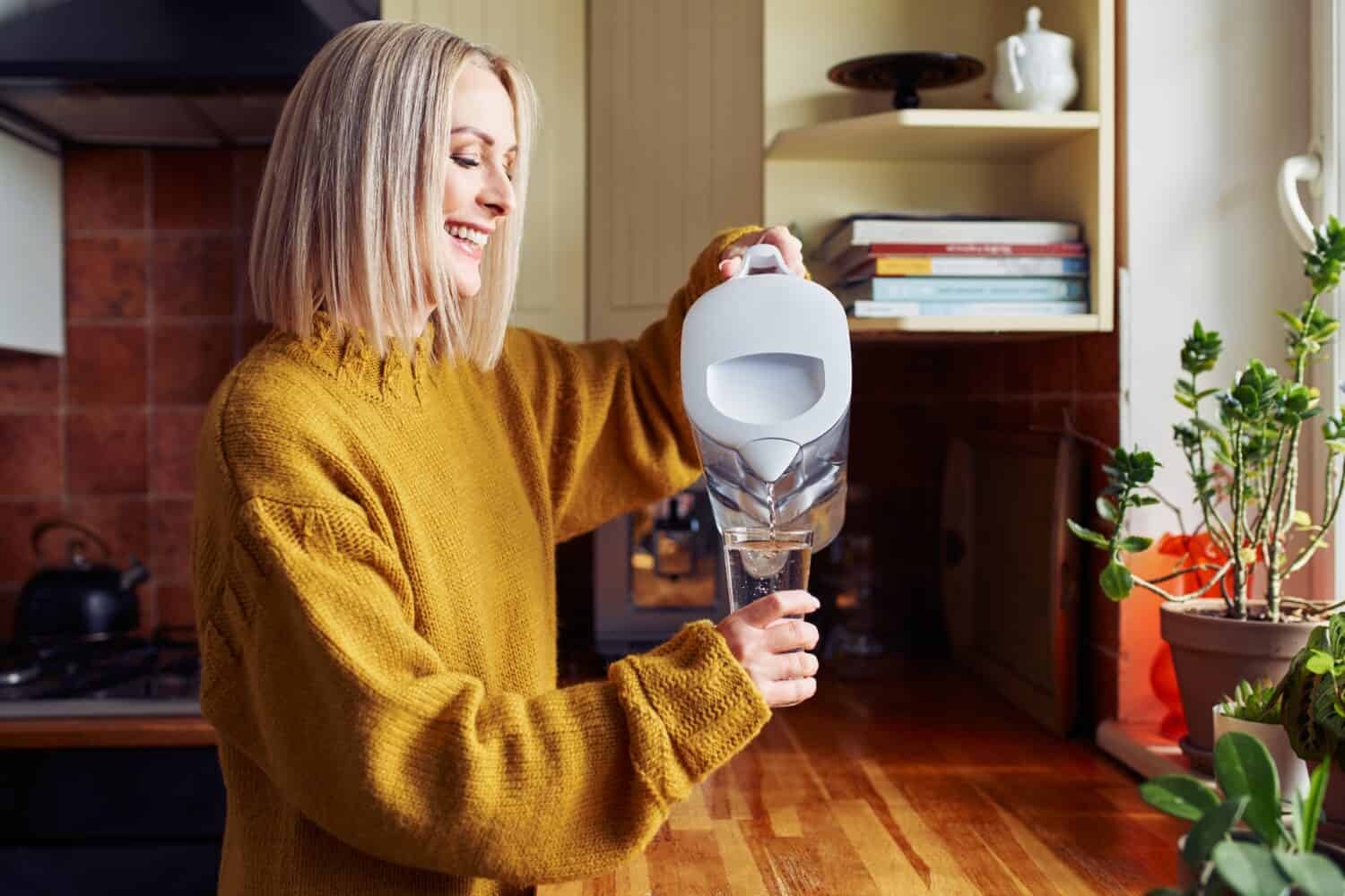 Brita vs Pur: Which Brand Offers the Best Value for Your Home?